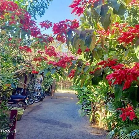 Tribal Village Homestay & Trekking Banlung Экстерьер фото