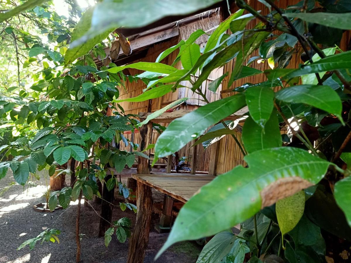 Tribal Village Homestay & Trekking Banlung Экстерьер фото