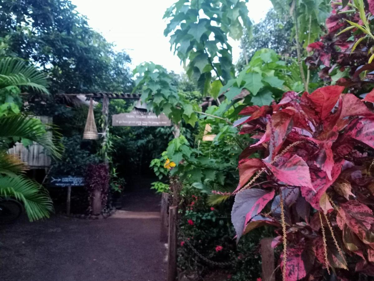 Tribal Village Homestay & Trekking Banlung Экстерьер фото