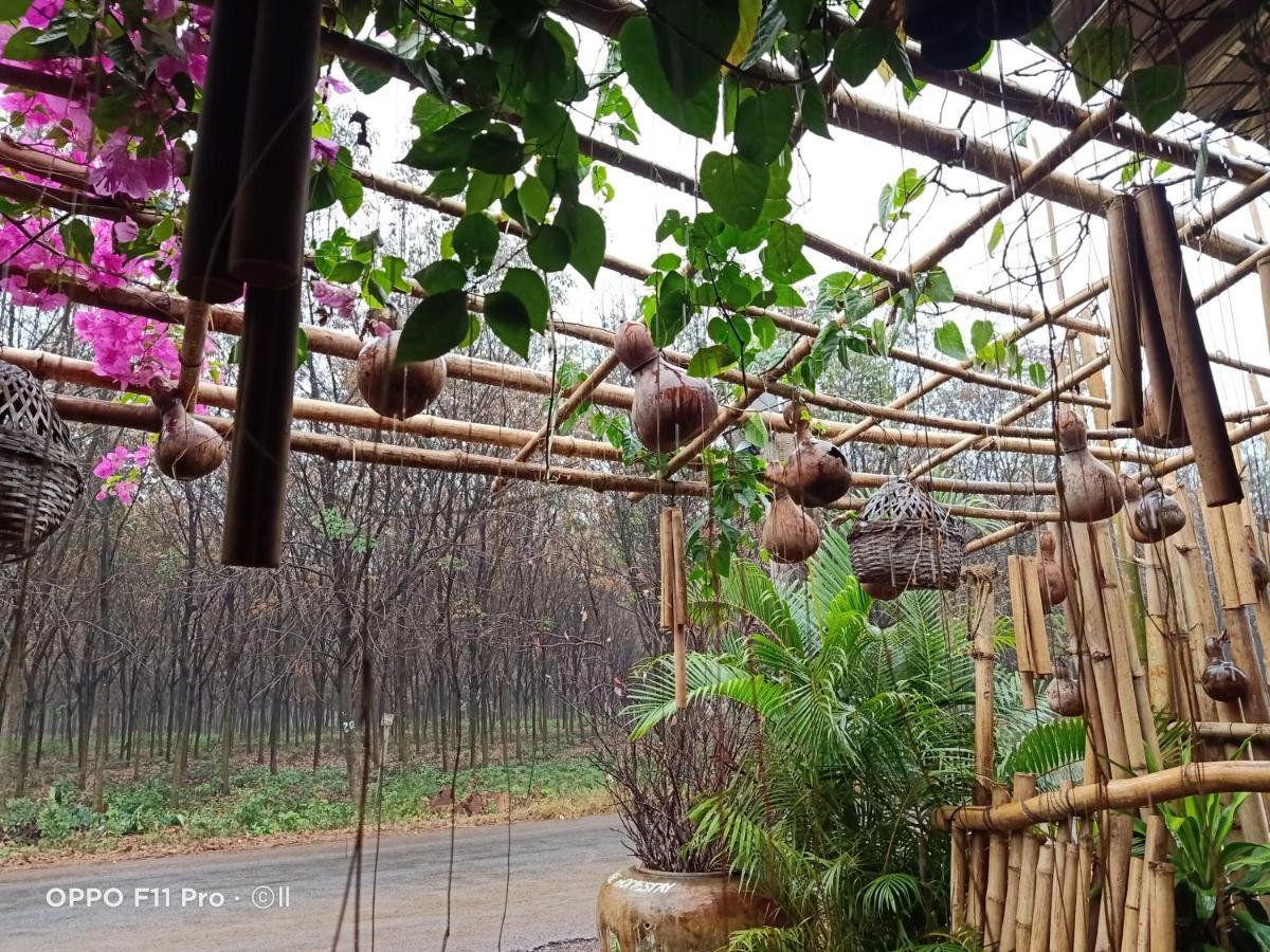 Tribal Village Homestay & Trekking Banlung Экстерьер фото
