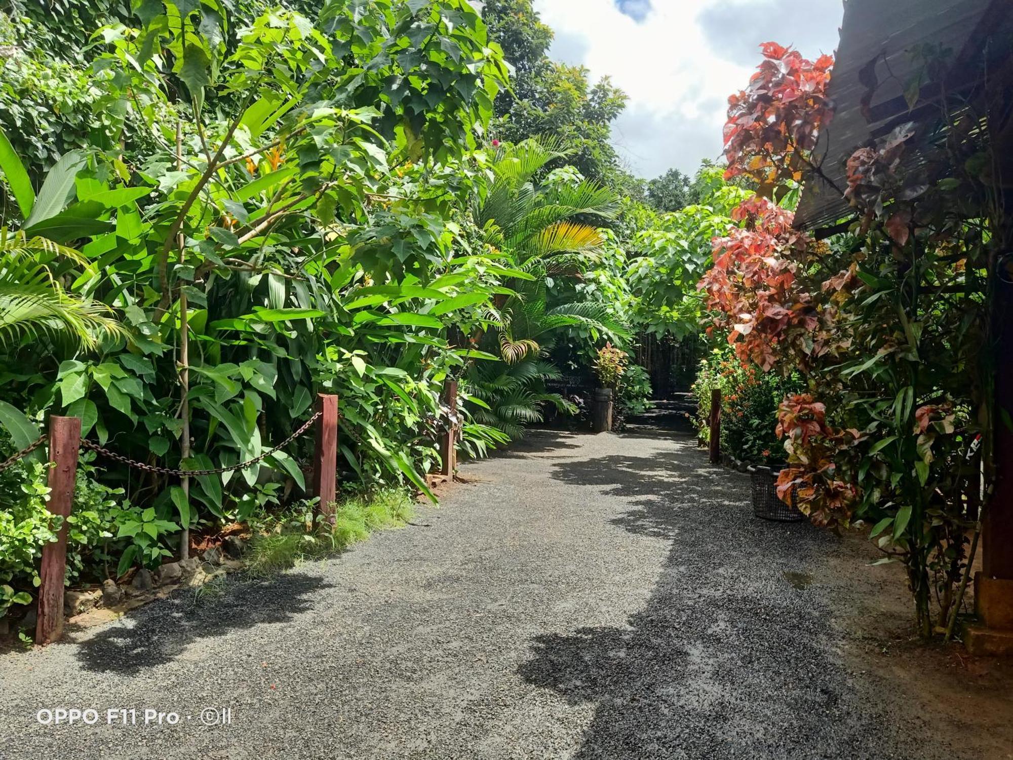 Tribal Village Homestay & Trekking Banlung Экстерьер фото