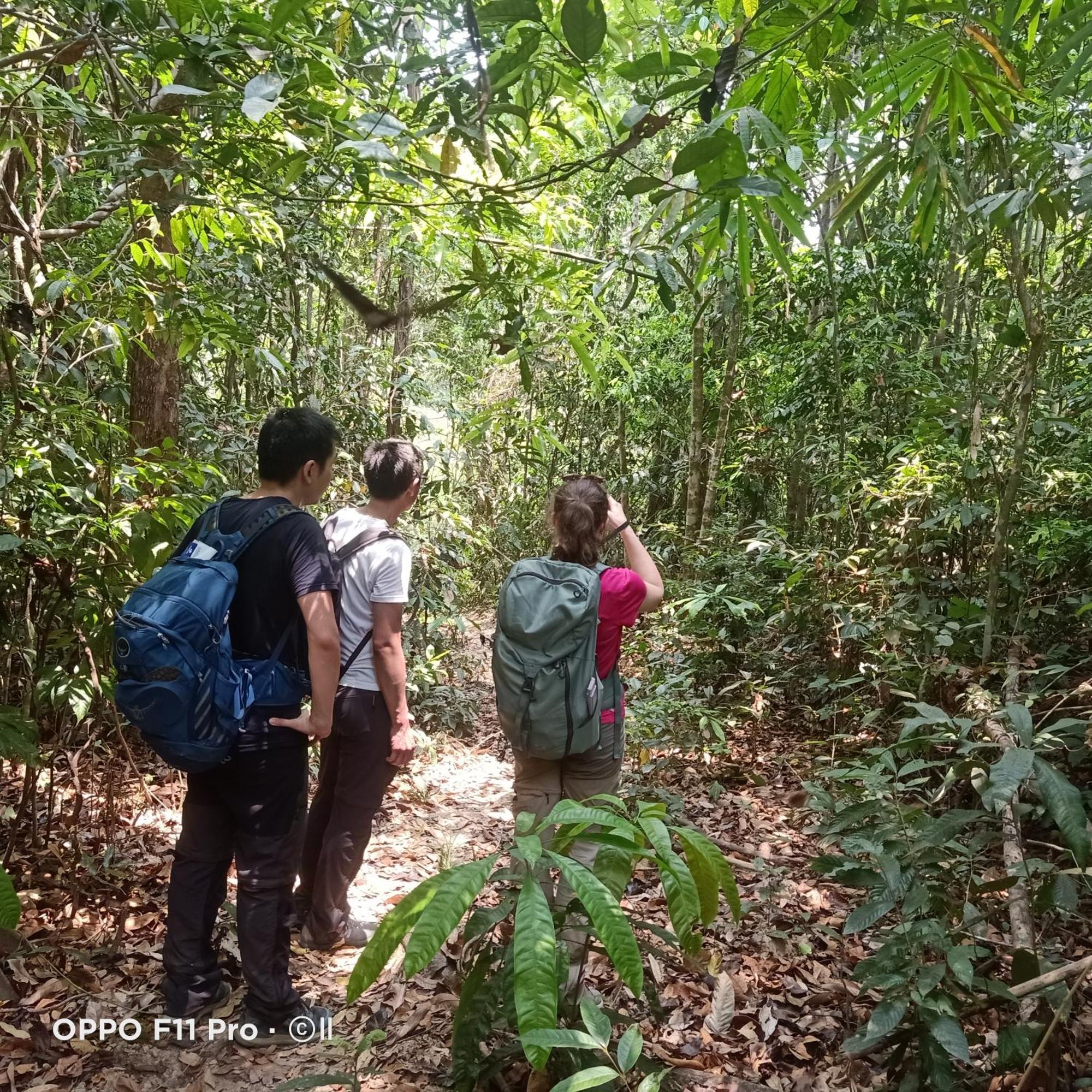 Tribal Village Homestay & Trekking Banlung Экстерьер фото